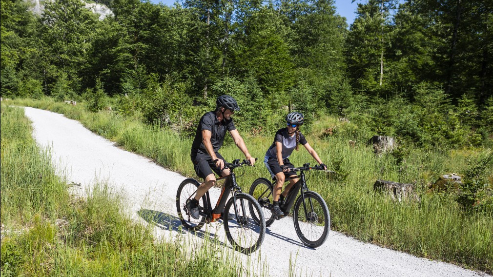 Zwei Radfahrer in der Natur mit KTM-Bike. (Foto: KTM bike industries)