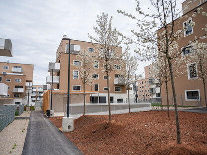 Eines der ersten Vorzeigeprojekte in punc­to Verdichtung: Das neue Wohnquartier Mühlbach Ost. (Foto: Arman Kalteis)