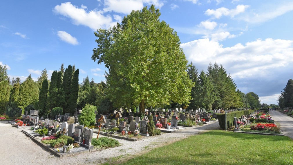 Foto: Josef Vorlaufer