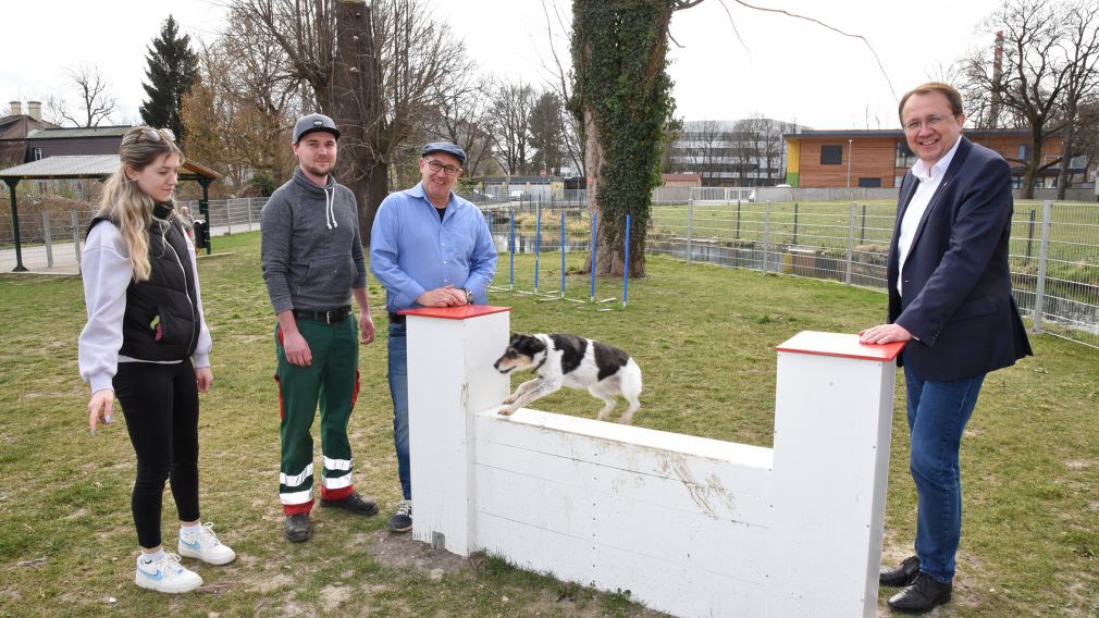 Hundehalterin Michelle Bachel, Daniel Brandtner und Robert Wotapek (Stadtgärtnerei), Maggy und Bürgermeister Matthias Stadler in der neuen Hundezone-Nord. (Foto: Josef Vorlaufer)   