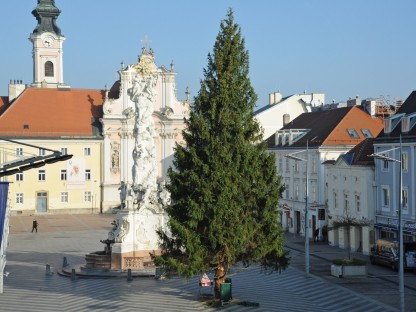 Foto: Josef Vorlaufer