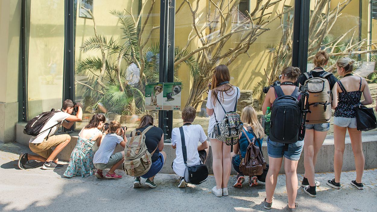 Bei der Fotoakademie lernen die Jugendlichen kreative Ideen in kunstvolle Fotos zu verwandeln. (Foto: Fotoakademie St. Pölten)