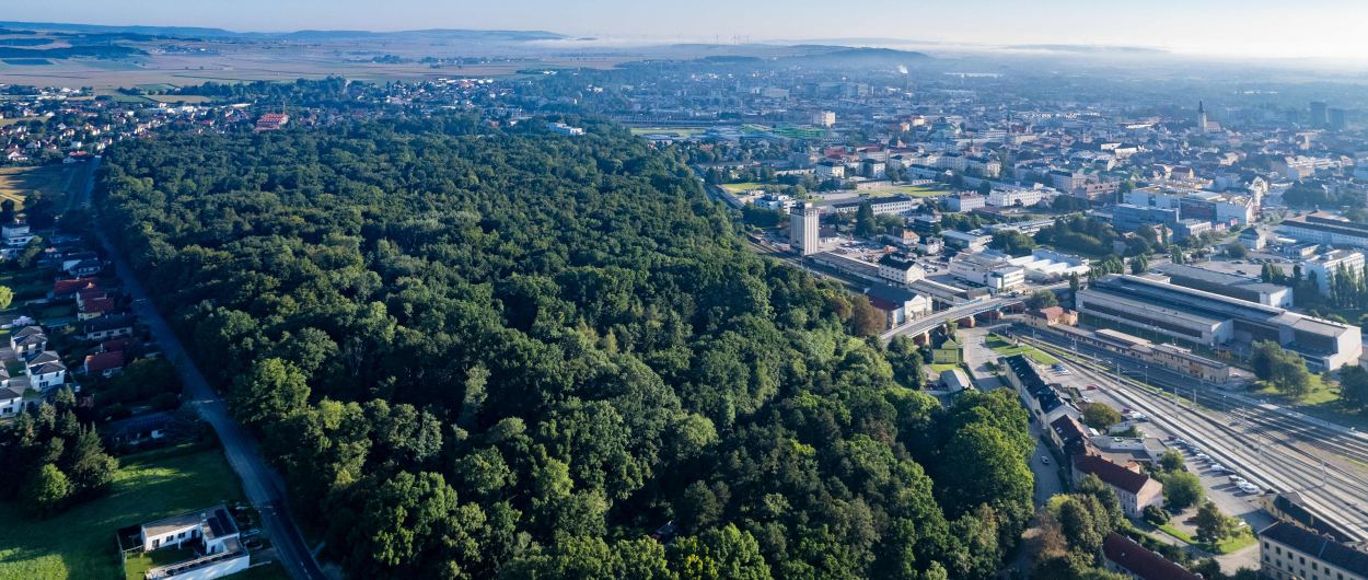 Die grüne Stadt, Foto: Bollwein 