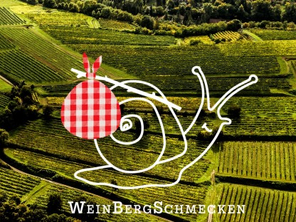Logo WeinBergSchmecken-Traisentaler Winzer