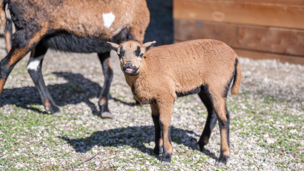 Die kleine Dori zeigte uns bei unserem Besuch im Hammerpark ihr schönstes Lächeln. (Foto: Arman Kalteis)