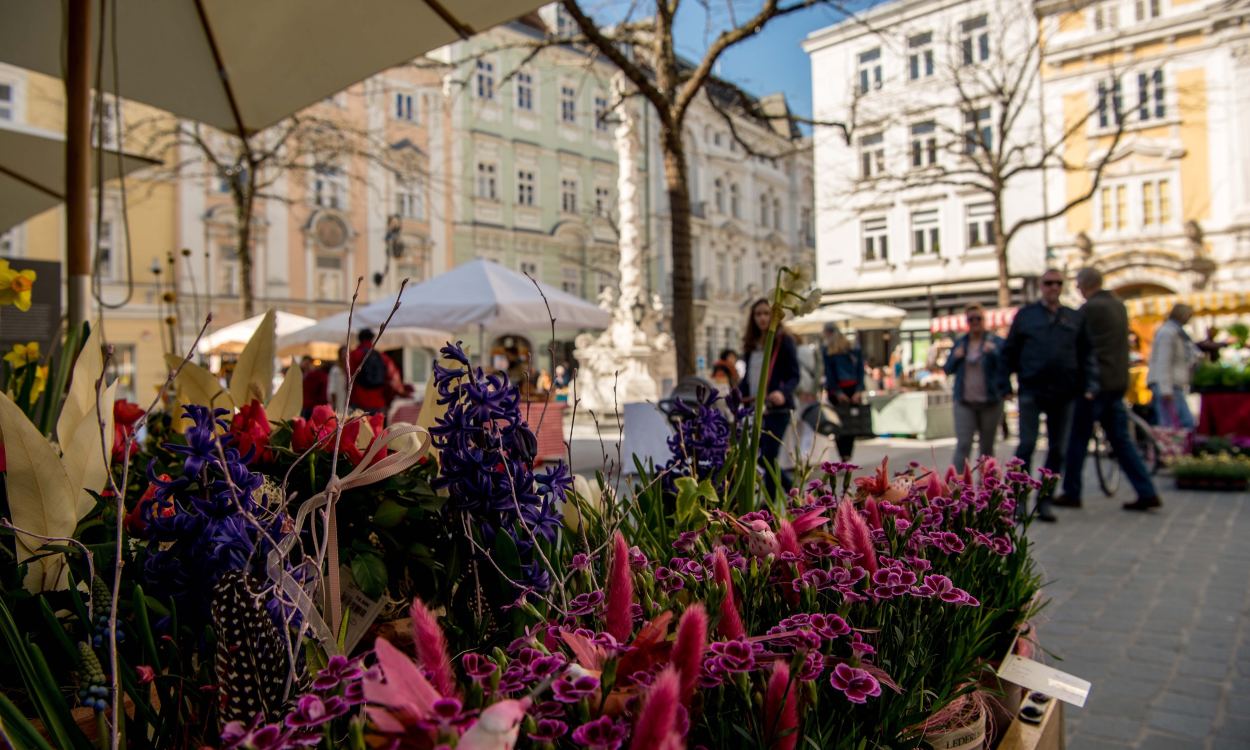 Das Wohnzimmer in der Stadt