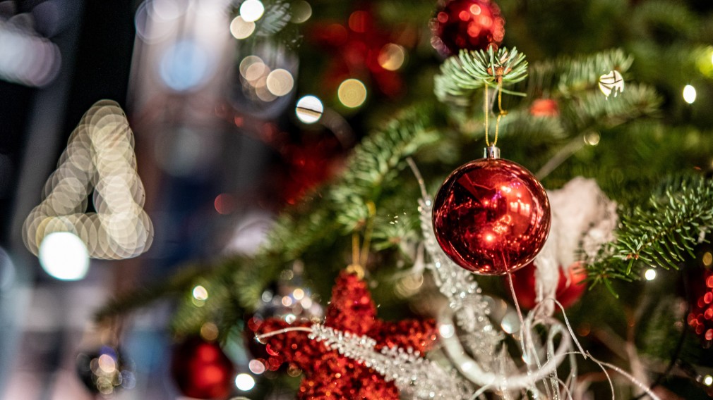 Weihnachtlich geschmückte Tanne aus der Nahperspektive. (Foto: Josef Bollwein)