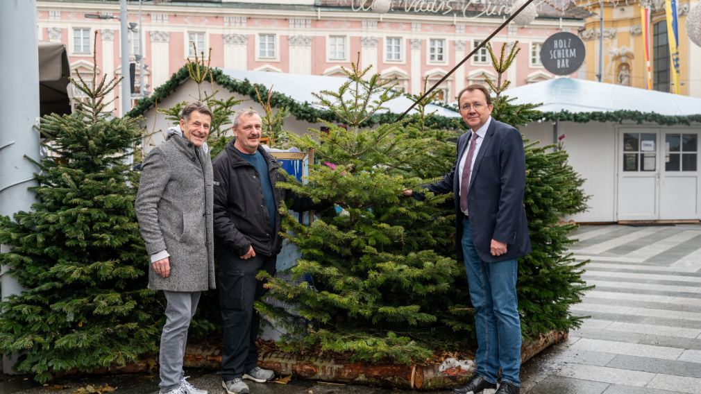 Christkindlmarkt-Projektleiter Dietmar Zeiss, soogut Sozialmarkt St. Pölten- Leiter Jürgen Pomberger und Bürgermeister Matthias Stadler posieren für ein Foto vor den Deko-Bäumen am Christkindlmarkt. (Foto: Christian Krückel)