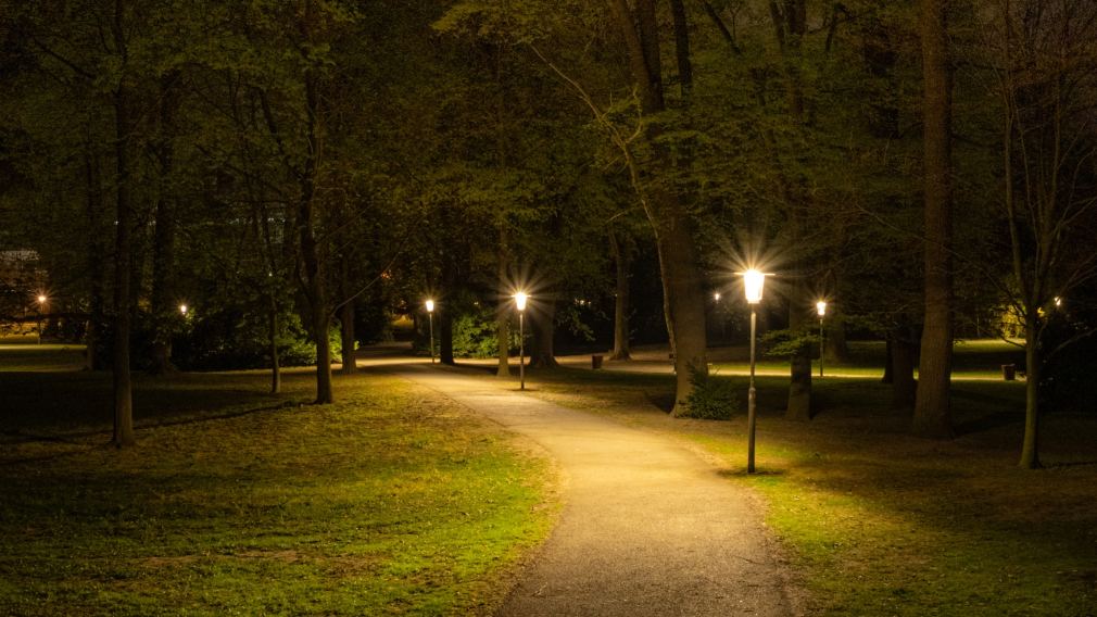 Die LED-Beleuchtung sorgt für energiesparendes und stimmungsvolles Licht im Hammerpark. (Foto: Christian Krückel)