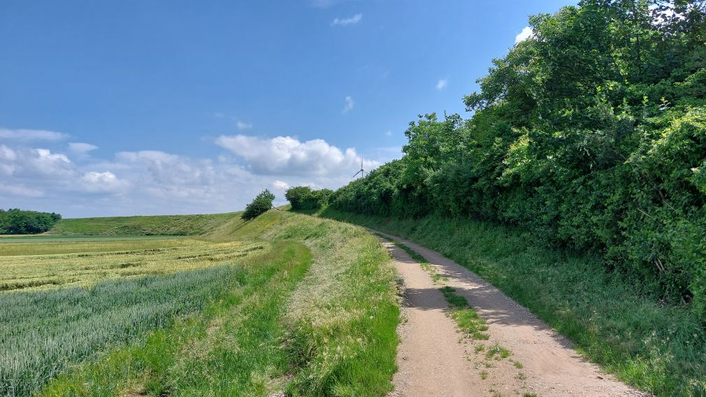 Die markante Geländestufe am Ostrand der Stadt wird „östlicher Wagram“ genannt, im Bereich von Stattersdorf liegen die letzten, größeren Offenland-Flächen am Wagram im Stadtgebiet St. Pölten. (Foto: Bernadette Schwab)