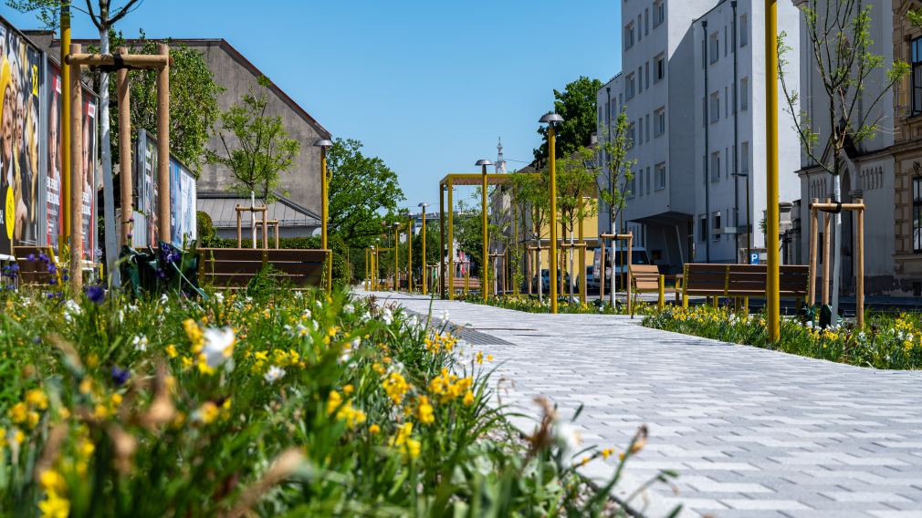 Ein Foto des neuen Promenadenrings zwischen Linzer Tor und Schulgasse. (Fot: Christian Krückel)