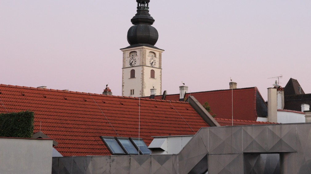 Vier Störche sitzen am Dach vom St. Pöltner Dom. (Foto: Stefan Zenkl)
