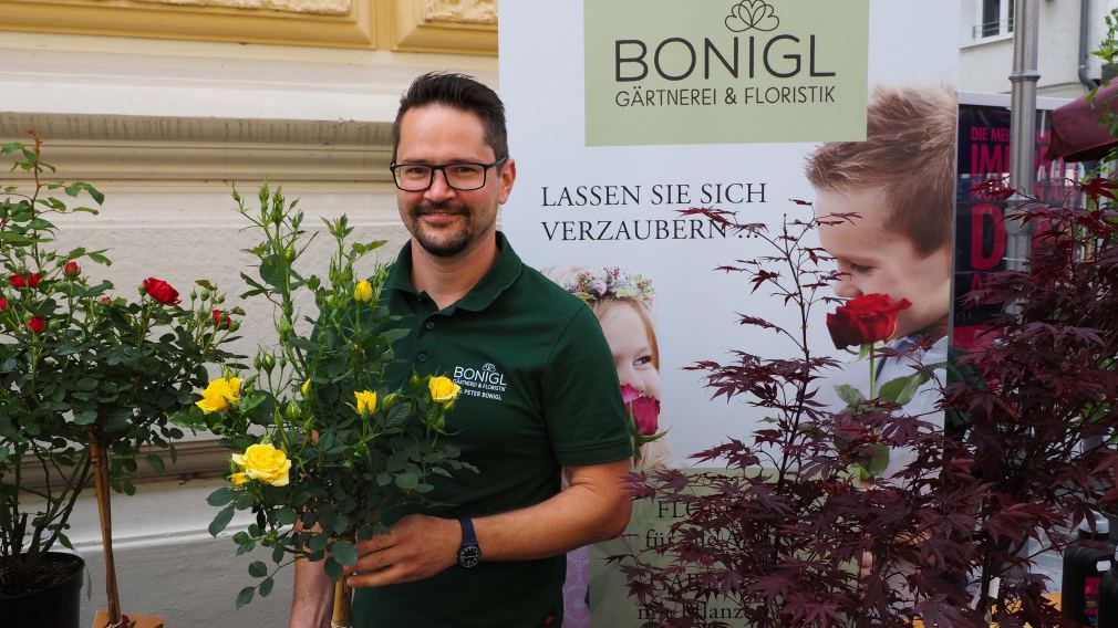 Gärtner Peter Bonigl gibt auch heuer wieder gute Tipps beim Rosenmarkt in der Herrengasse. (Foto: Rlebnisreich)