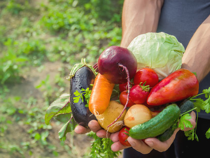Eine Person hält frisches Gemüse in den Händen. (Foto: 2020 Tatevosian Yana/shutterstock)