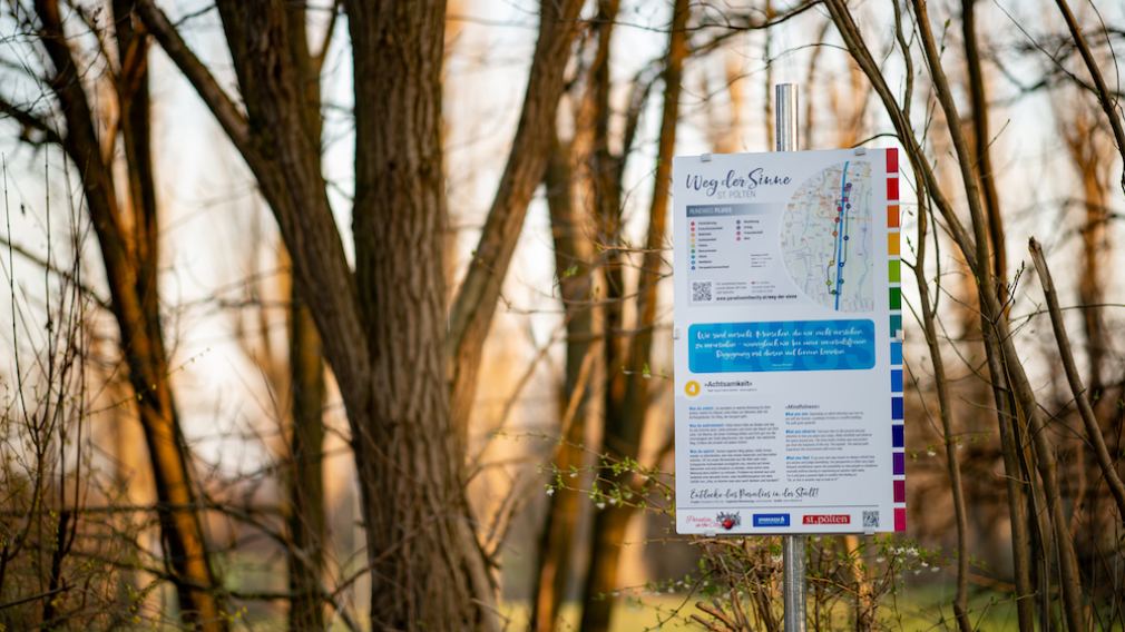 Gruppe vor einer Wege der Sinne-Tafel im Wald. Foto: Josef Vorlaufer