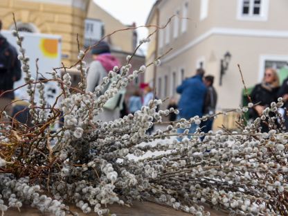 Palmkatzerl (Foto: Gerhard Mader)