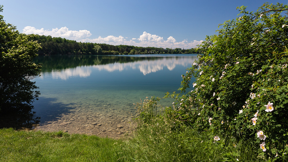 Blick auf Viehofner See. (Foto: Arman Behpounia).