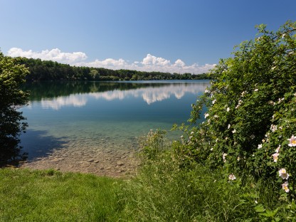 Blick auf Viehofner See. (Foto: Arman Behpounia).