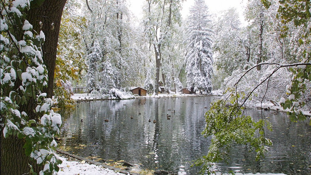 Blick auf Teich im Hammerpark mit leichter Schneelage. (Foto: Josef Vorlaufer)