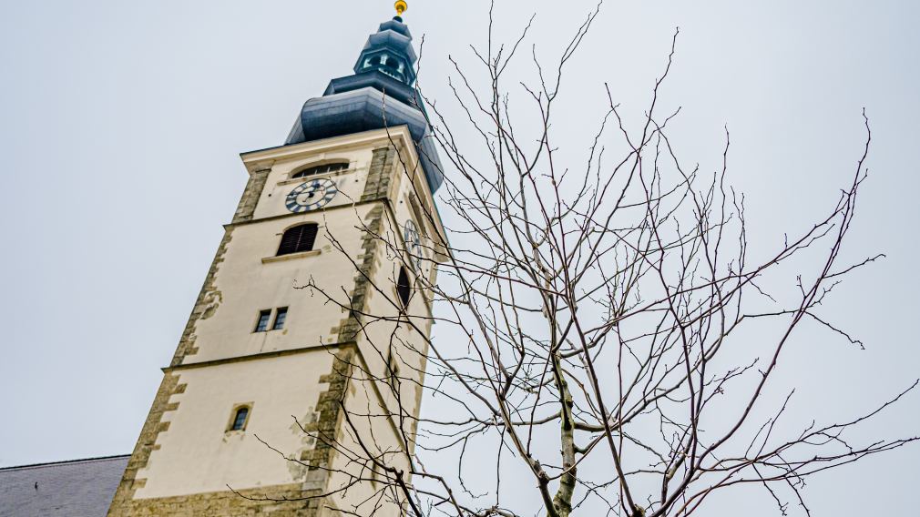 Eine Baumkrone ohne Blätter im Vordergrund, dahinter der Turm des St. Pöltner Doms.