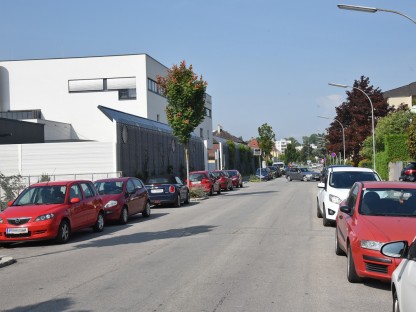 Foto: Josef Vorlaufer
