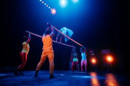 Circus Baobab