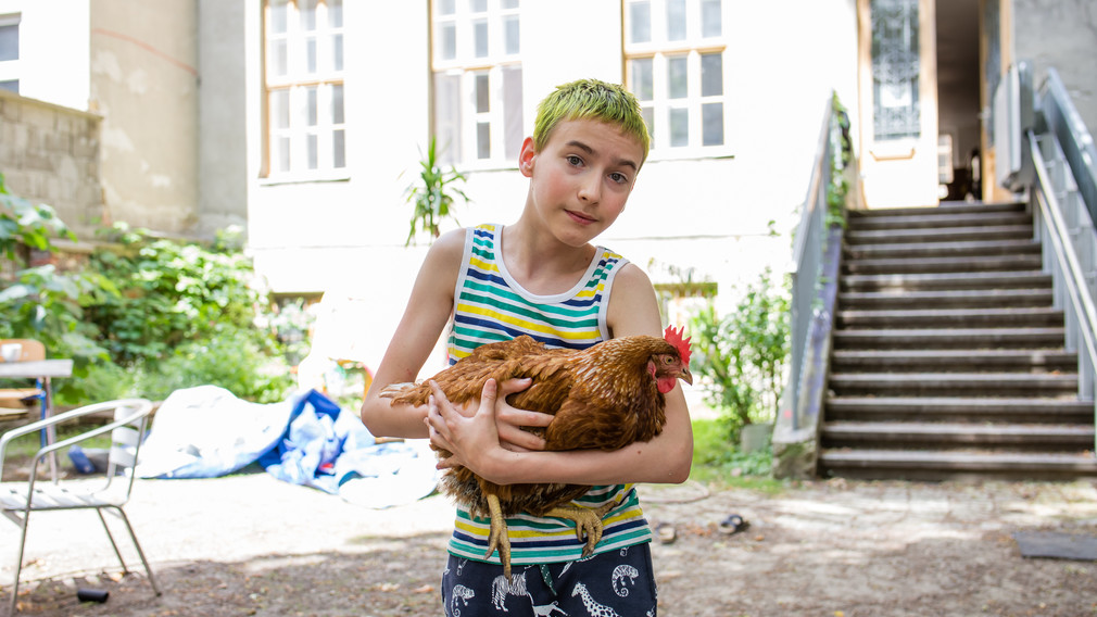 Portrait eines Jungen, der ein Huhn in den Händen hält. (Foto: Marija Šabanović)