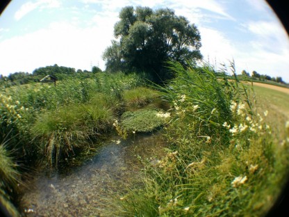 Foto: DI Ingrid Leutgeb-Born