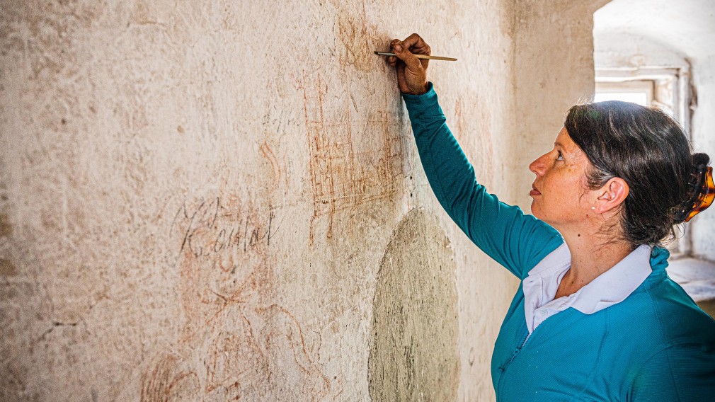 Eine Frau arbeitet an der Freilegung von Wandzeichnungen, welche sie im Zuge von Restaurierungsarbeiten im St. Pöltner Rathausturm entdeckt hat. (Foto: Arman Kalteis)