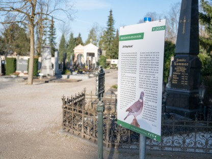 Eine Geschichte über Vögel auf einer Informationstafel am St. Pöltner Hauptfriedhof. Im Hintergrund sind Grabsteine zu sehen. (Foto: Arman Kalteis)