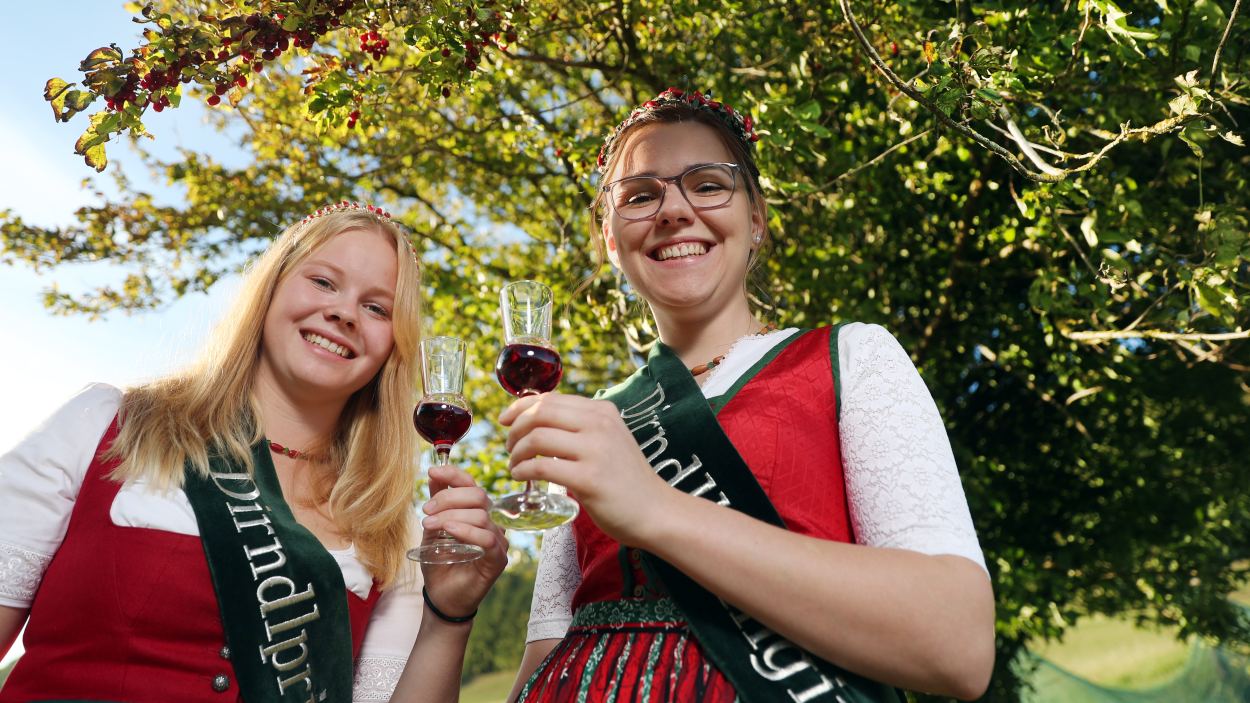 Weinfranz