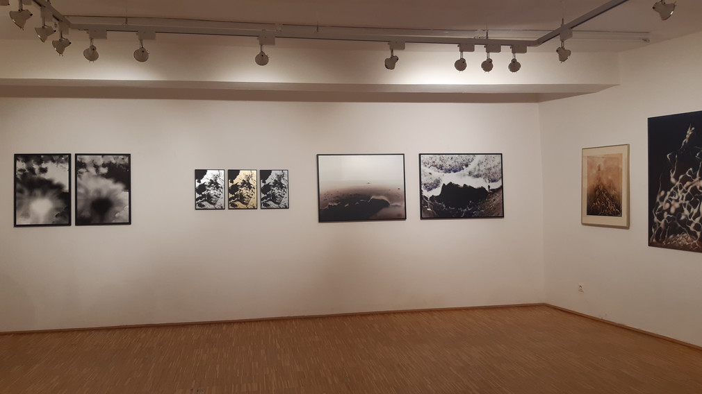 Blick in die Ausstellung „Austausch“. (Foto: EviLeuchtgelb)