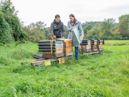 Zwei Personen stehen mitten in der Natur bei Bienenstöcken und öffnen einen Bienenstock.