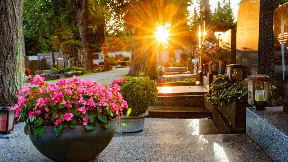 Stadtfriedhof St. Pölten. (Foto: Josef Bollwein)