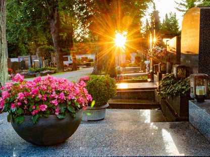 Stadtfriedhof St. Pölten. (Foto: Josef Bollwein)