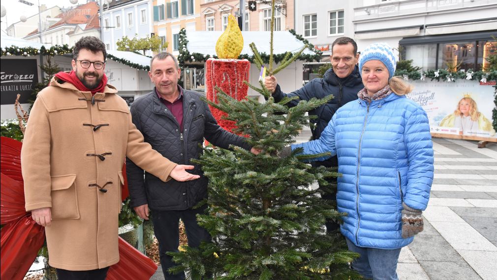 Vizebürgermeister Harald Ludwig, Landwirt Karl Sommer sowie Peter Eigelsreiter und Monika Hromecek mit einem Christbaum am Rathausplatz. (Foto: Josef Vorlaufer)
