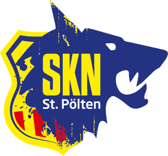 Skn logo farbe web