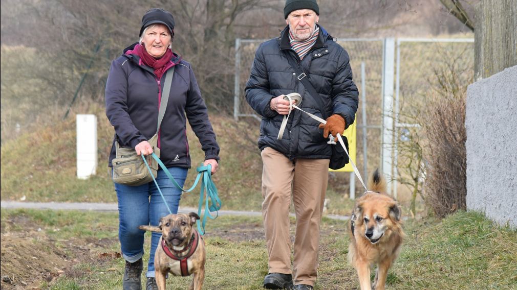 Für alle Hundefreunde: Auf einer Fläche in der Größe von zwei Basketballfeldern soll in der Nähe der Zeugen Jehovas eine zweite Hundezone entstehen. (Foto: Josef Vorlaufer)