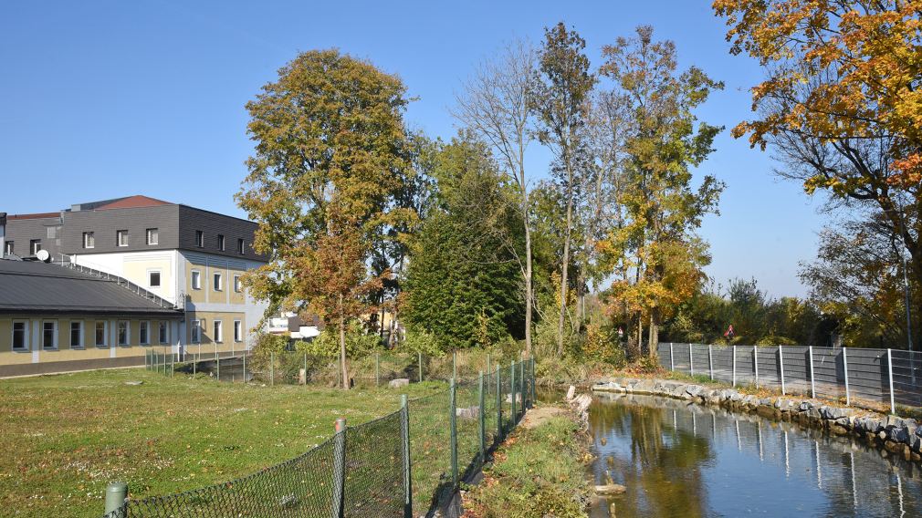 Das Gelände der zweiten Hundezone. (Foto: Josef Vorlaufer)