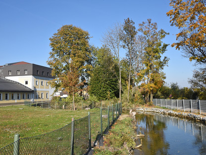 Das Gelände der zweiten Hundezone. (Foto: Josef Vorlaufer)
