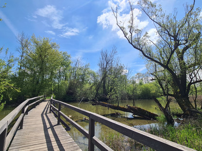 Naturlehrpfad Feldmühle, St. Pölten Ratzersdorf. (Foto: Corina Muzatko)