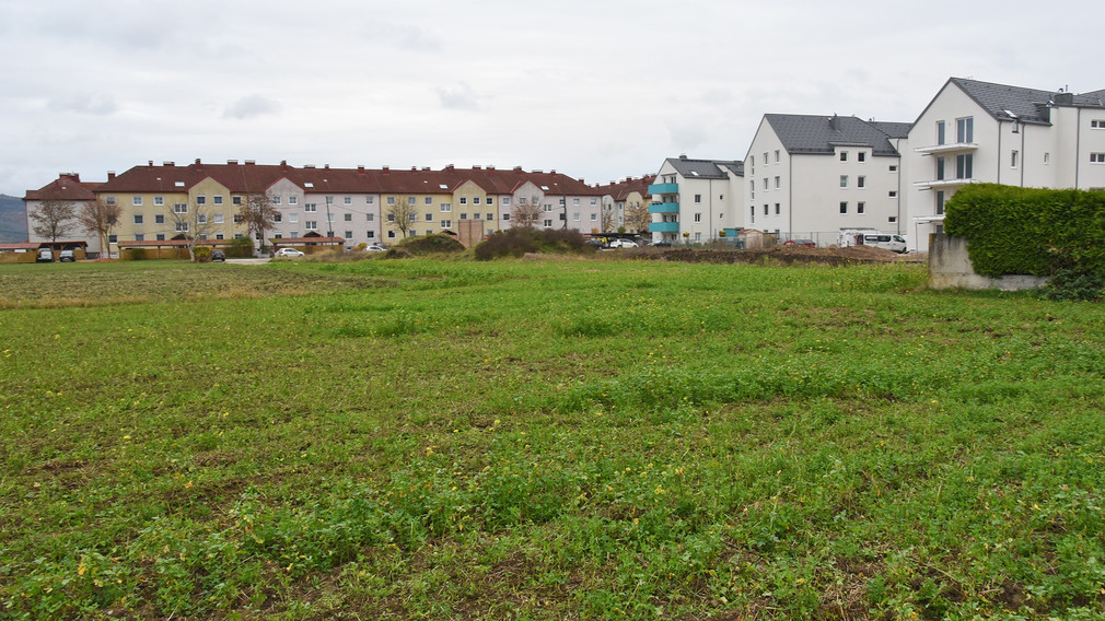 Das Areal der künftigen Baurechtsgründe im Stadtteil Eggendorf. (Foto: Josef Vorlaufer)