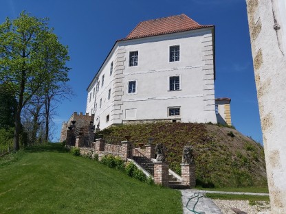 Schloss Viehofen (Matthias Weiländer)