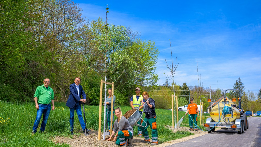 An einem Radweg wurden Jungbäume gepflanzt. Neben den Bäumen stehen Mitarbeiter der St. Pöltner Stadtgärtnerei und der Bürgermeister der Landeshauptstadt. Ein 