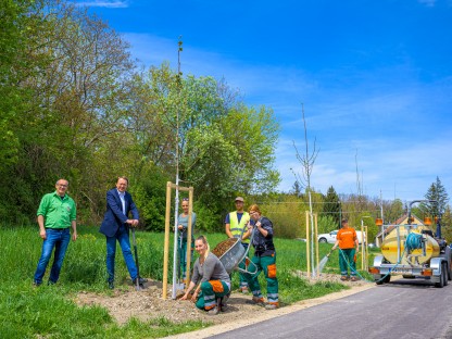 An einem Radweg wurden Jungbäume gepflanzt. Neben den Bäumen stehen Mitarbeiter der St. Pöltner Stadtgärtnerei und der Bürgermeister der Landeshauptstadt. Ein 