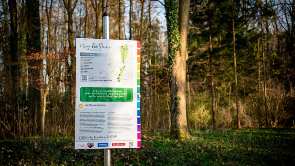 Gruppe vor einer Wege der Sinne-Tafel im Wald. Foto: Josef Vorlaufer