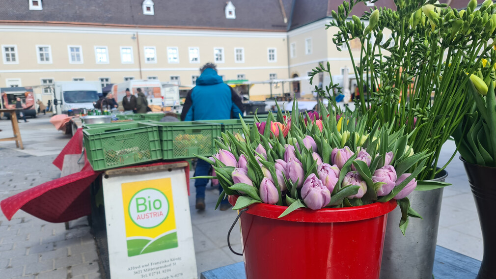 Ab 11. März werden in direkter Nähe zum Markt in der Hofstatt, beim Bischofsteich und der Lederergasse Parkplätze zur Verfügung stehen. (Foto: Arman Kalteis)