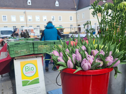 Ab 11. März werden in direkter Nähe zum Markt in der Hofstatt, beim Bischofsteich und der Lederergasse Parkplätze zur Verfügung stehen. (Foto: Arman Kalteis)