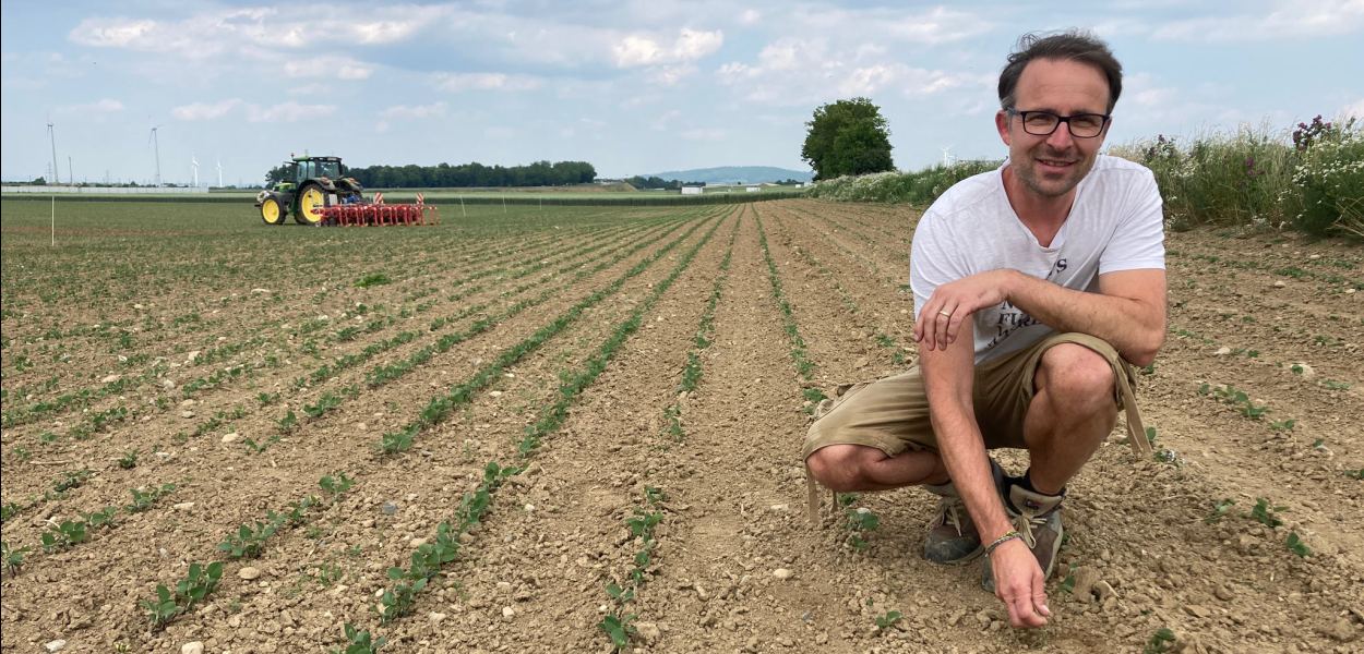 Soja-Feld mit Mann rechts im Bild, der in die Erde mit noch sehr kleinen Sojapflanzen greift. Im Hintergrund links in weiter Entfernung steht ein Traktor. Der Himmel ist blau, durchzogen von weißen Wolken. Foto: Althea Müller