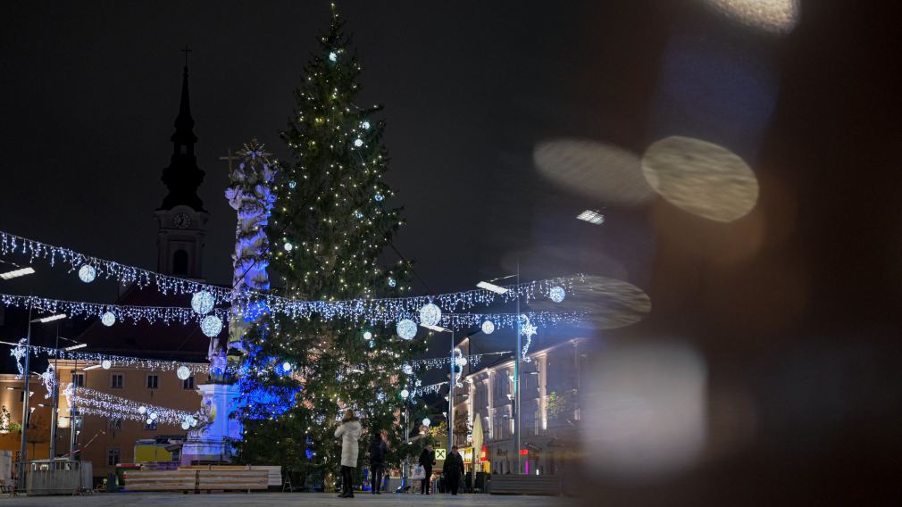 Premiere: zusätzlich zur Fichte am Rathausplatz gibt es heuer erstmals auch einen Christbaum am Domplatz. (Foto: Arman Kalteis)